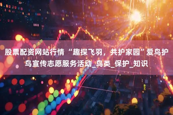 股票配资网站行情 “趣探飞羽，共护家园”爱鸟护鸟宣传志愿服务活动_鸟类_保护_知识