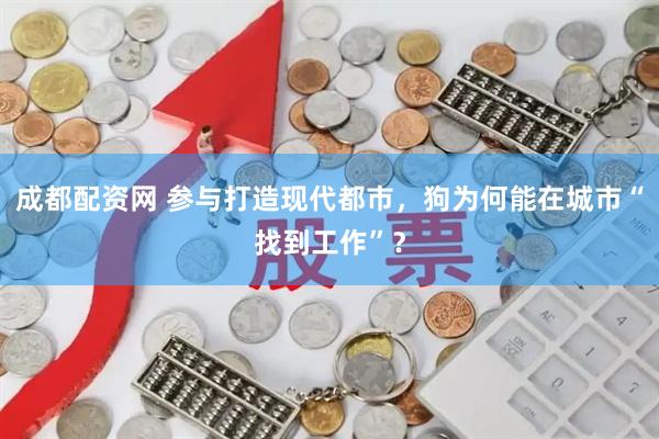 成都配资网 参与打造现代都市，狗为何能在城市“找到工作”？